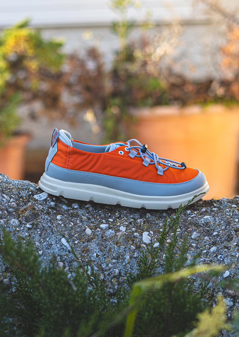 Harc - Interior design